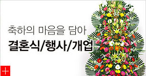 축하의 마음을 담아|결혼식/행사/개업